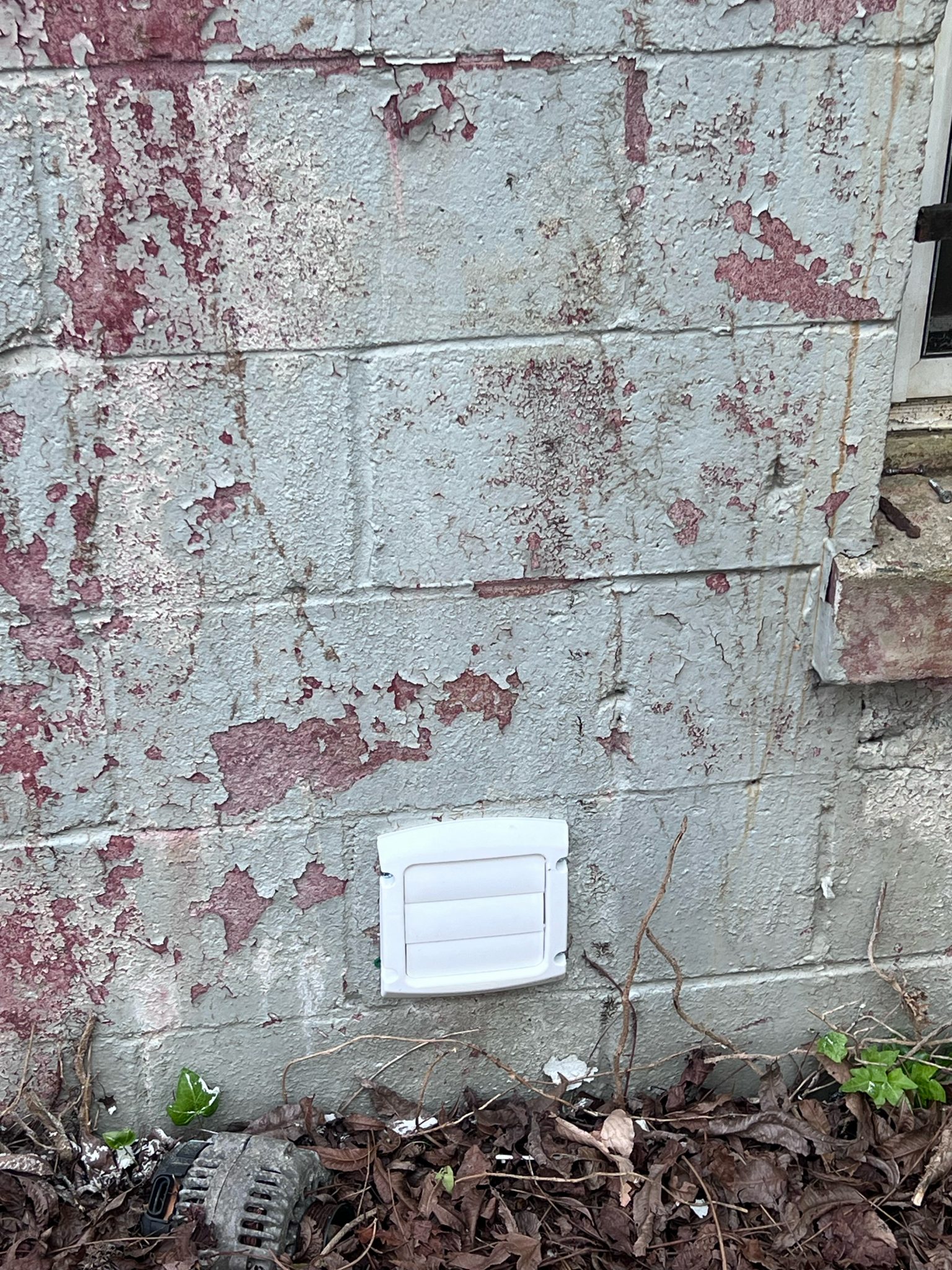 Dawn Crawford - First Strike Pest Elimination