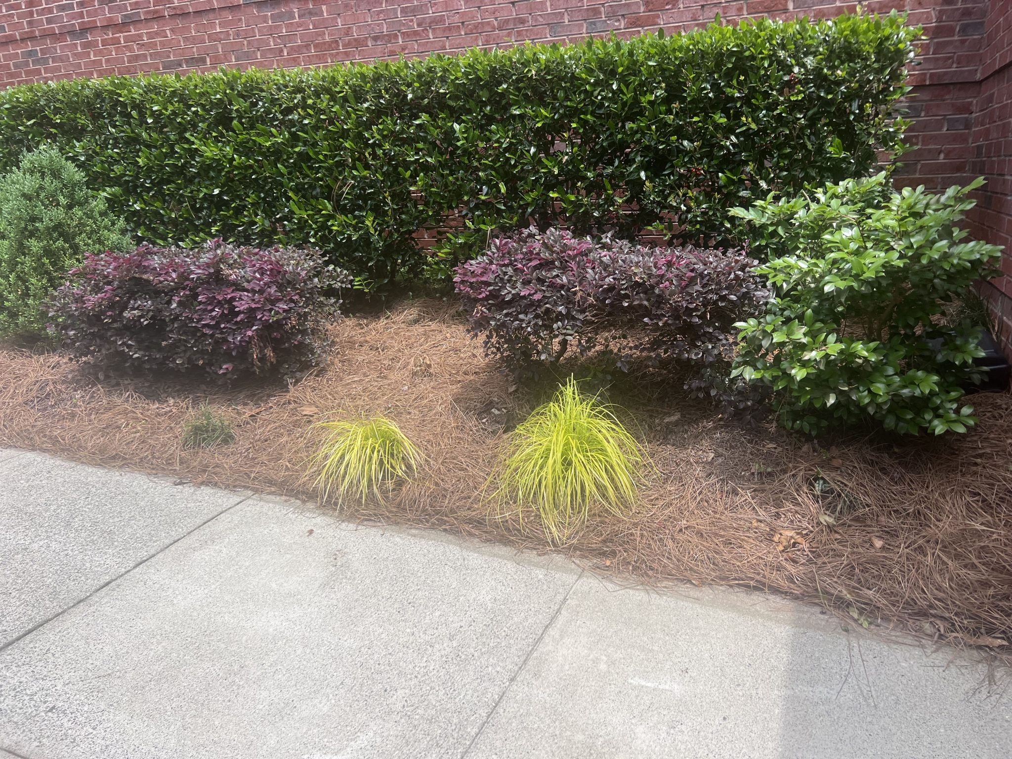 Commercial work – First Strike Pest Elimination