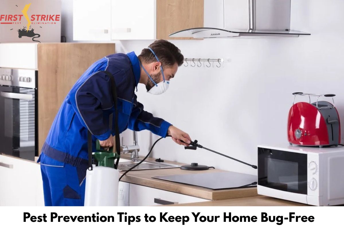 Pest Prevention Tips to Keep Your Home Bug-Free
