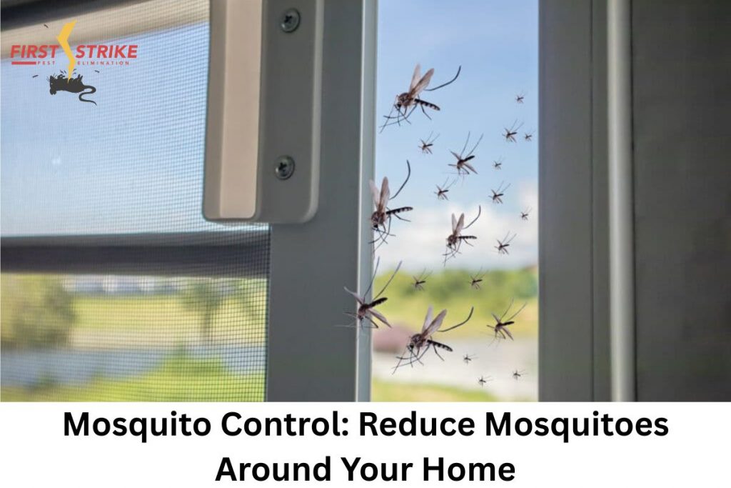 Mosquito Control: Reduce Mosquitoes Around Your Home
