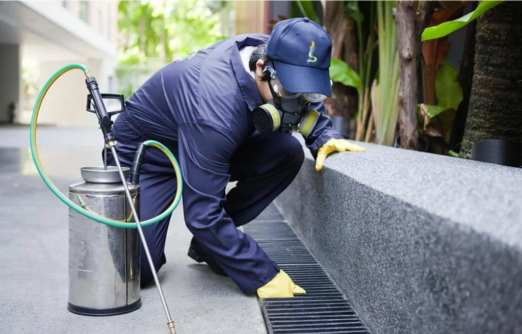 Pest Control Services a Atlanta GA