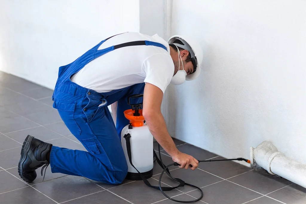 Pest Control Services at Atlanta GA