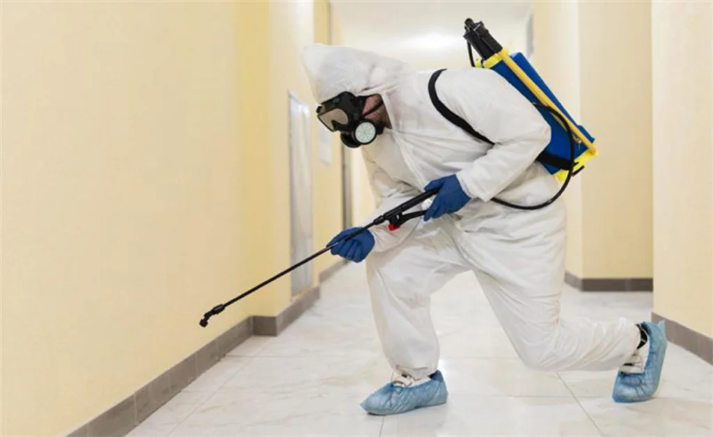 Professional Pest Control Services am Woodstock, GA